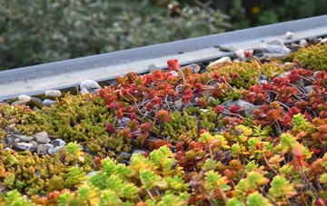 the cost of Drem green roof installation