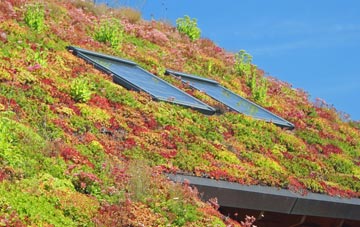 Drem living roof systems