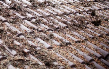 Drem roof cleaning companies