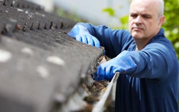 cleaning and inspecting Drem roofs