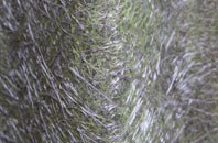 Drem fibreglass roof work